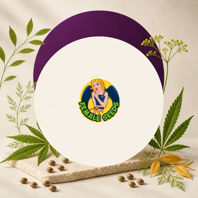 Logotipo de Female Seeds con una figura alada en un círculo crema, rodeado de hojas de cannabis, semillas y un arco morado. Logotipo de Female Seeds con una figura alada en un círculo crema, rodeado de hojas de cannabis, semillas y un arco morado.