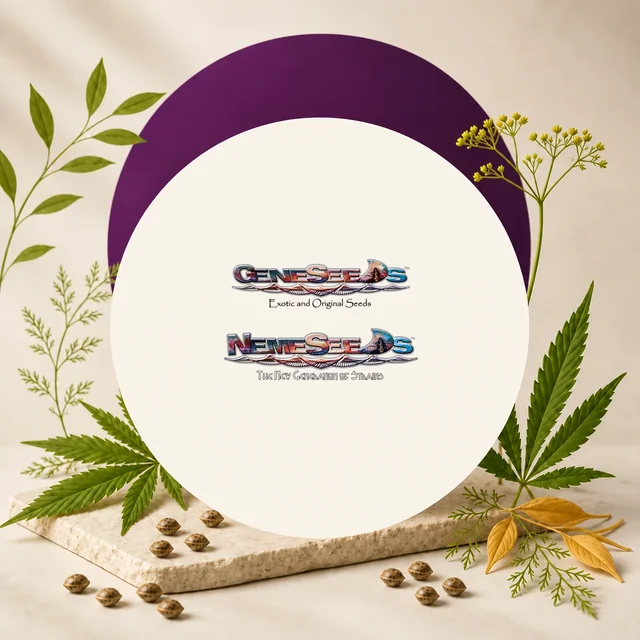 Logotipos de GeneSeeds y NemeSeeds sobre un círculo crema, rodeados de hojas de cannabis, ramas y semillas, con un arco morado al fondo. Logotipos de GeneSeeds y NemeSeeds sobre un círculo crema, rodeados de hojas de cannabis, ramas y semillas, con un arco morado al fondo.