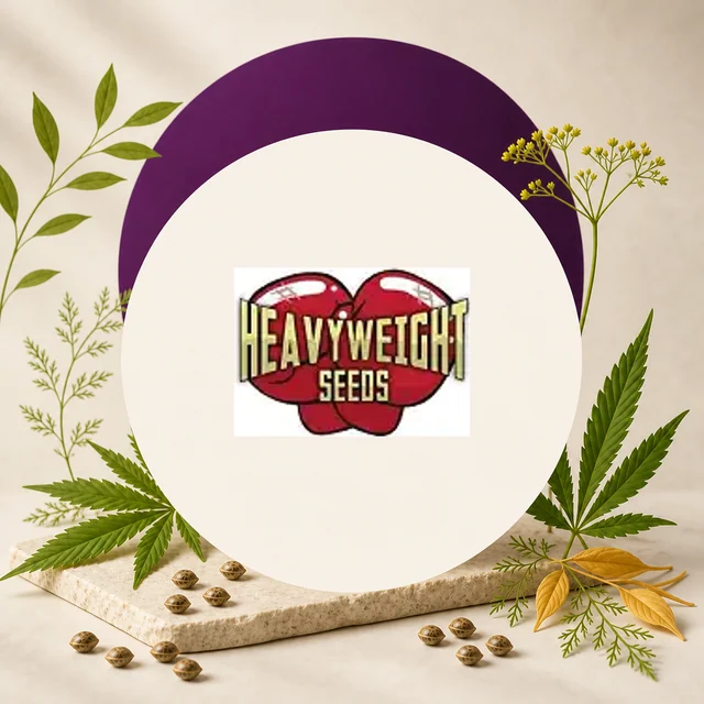 Logotipo de Heavyweight Seeds con guantes de boxeo rojos, en un círculo claro rodeado de hojas de cannabis y semillas. Logotipo de Heavyweight Seeds con guantes de boxeo rojos, en un círculo claro rodeado de hojas de cannabis y semillas.
