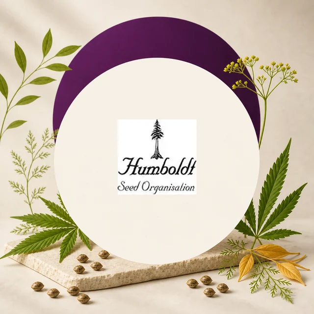 Logotipo de Humboldt Seed Organisation con un árbol sobre el nombre, rodeado de hojas de cannabis y semillas sobre una base clara. Logotipo de Humboldt Seed Organisation con un árbol sobre el nombre, rodeado de hojas de cannabis y semillas sobre una base clara.