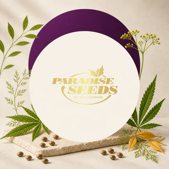 Logotipo dorado de Paradise Seeds sobre un círculo crema con arco morado, rodeado de hojas de cannabis y semillas dispersas. Logotipo dorado de Paradise Seeds sobre un círculo crema con arco morado, rodeado de hojas de cannabis y semillas dispersas.