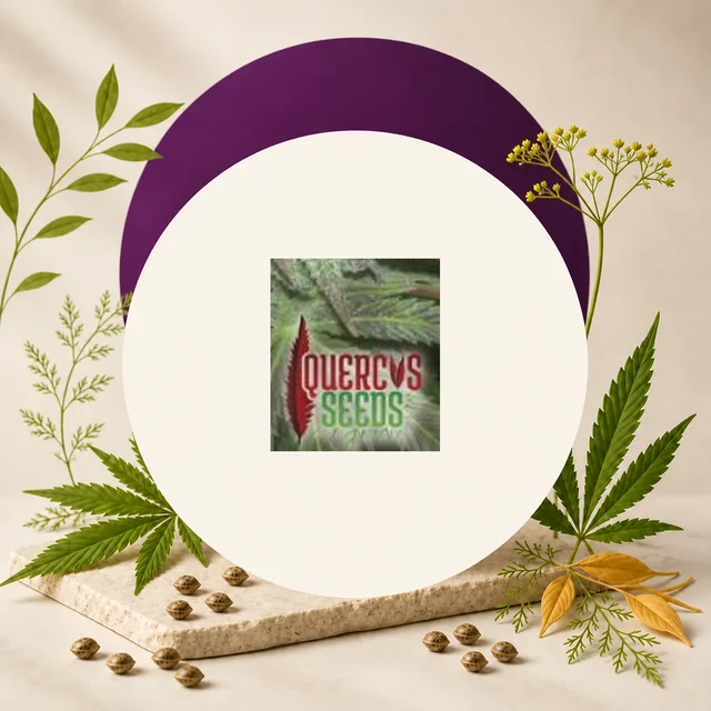 Logotipo de Quercus Seeds en el centro de un círculo crema con arco morado, rodeado de hojas de cannabis y semillas.
