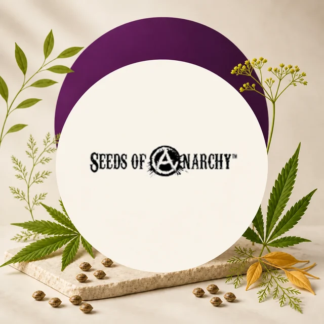Logotipo negro de Seeds of Anarchy en un panel circular claro con arco morado, entre hojas de cannabis y semillas dispersas. Logotipo negro de Seeds of Anarchy en un panel circular claro con arco morado, entre hojas de cannabis y semillas dispersas.