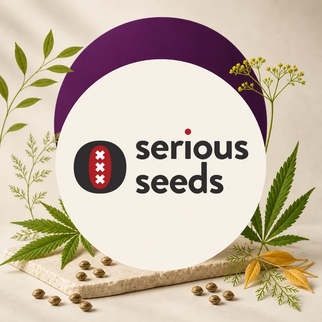 Logotipo de Serious Seeds en negro y rojo sobre un círculo claro, con un arco morado, hojas de cannabis y semillas alrededor. Logotipo de Serious Seeds en negro y rojo sobre un círculo claro, con un arco morado, hojas de cannabis y semillas alrededor.