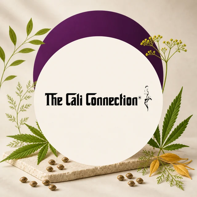Logotipo negro de The Cali Connection sobre un círculo crema con arco morado, rodeado de hojas de cannabis y semillas. Logotipo negro de The Cali Connection sobre un círculo crema con arco morado, rodeado de hojas de cannabis y semillas.