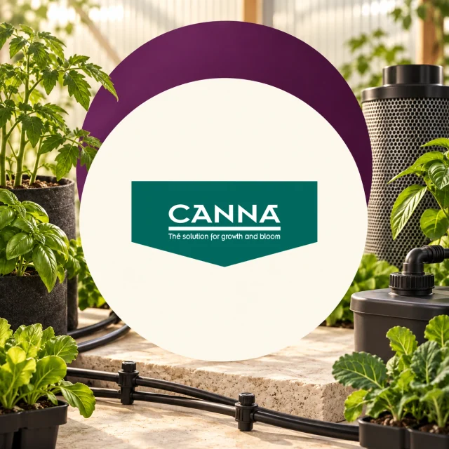 Logotipo de CANNA en un círculo crema, entre plantas en macetas, tubos de riego y un filtro cilíndrico en un invernadero. Logotipo de CANNA en un círculo crema, entre plantas en macetas, tubos de riego y un filtro cilíndrico en un invernadero.