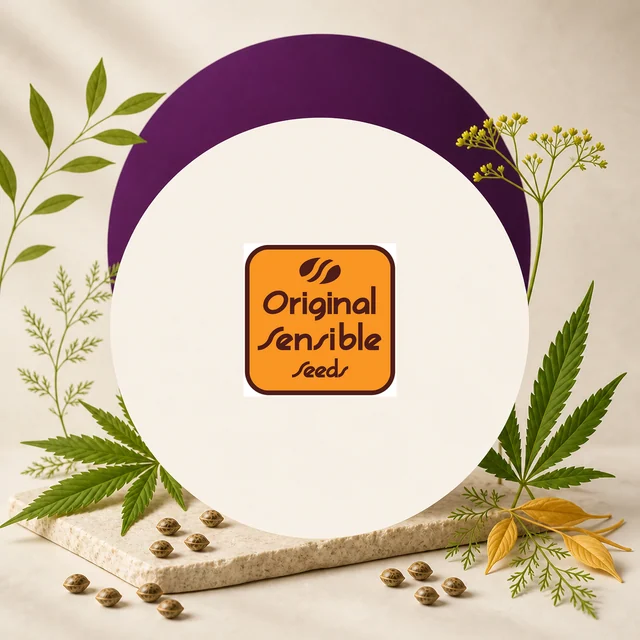 Logotipo naranja de Original Sensible Seeds en un círculo crema, rodeado de hojas de cannabis, ramas y semillas, con arco morado al fondo. Logotipo naranja de Original Sensible Seeds en un círculo crema, rodeado de hojas de cannabis, ramas y semillas, con arco morado al fondo.