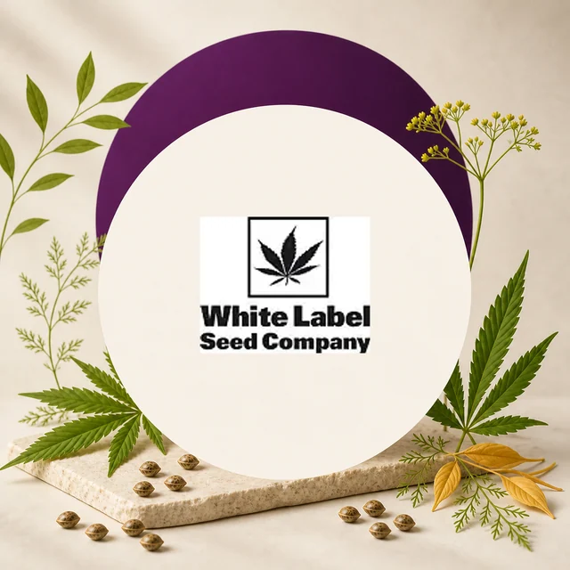 Logotipo White Label Seed Company con una hoja negra, centrado en un círculo claro y rodeado de hojas y semillas de cannabis. Logotipo White Label Seed Company con una hoja negra, centrado en un círculo claro y rodeado de hojas y semillas de cannabis.
