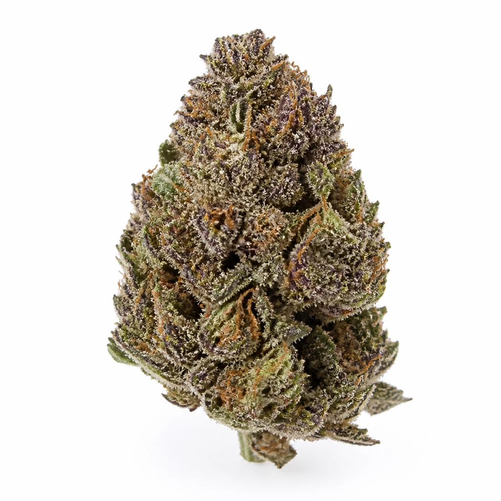 Ilustración de un cogollo verde y morado con pistilos anaranjados y superficie cristalina para la ficha de Grandaddy Purple Feminizada.