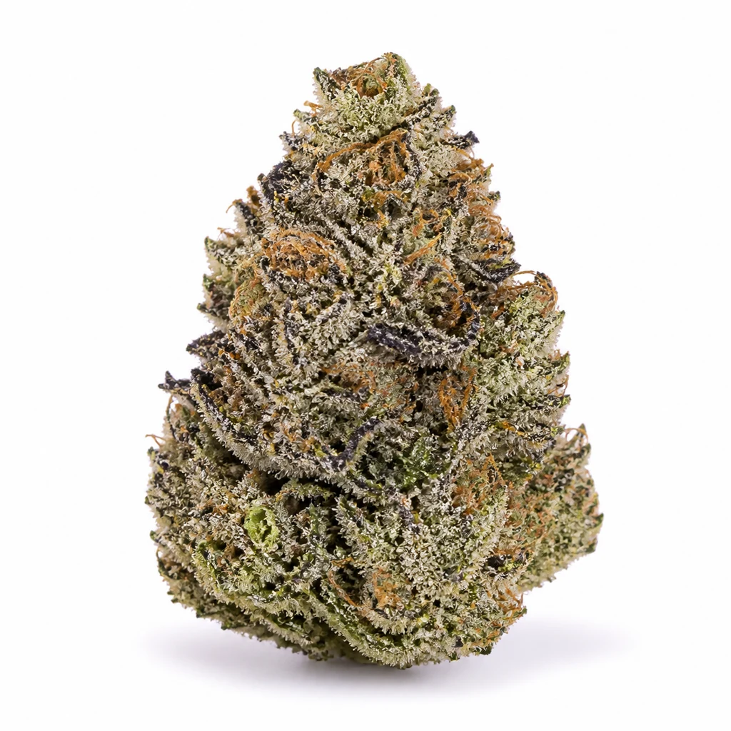 Ilustración de un cogollo para la ficha de Strawberry Gorilla Auto, con tonos verdes y morados, filamentos anaranjados y cobertura blanquecina.