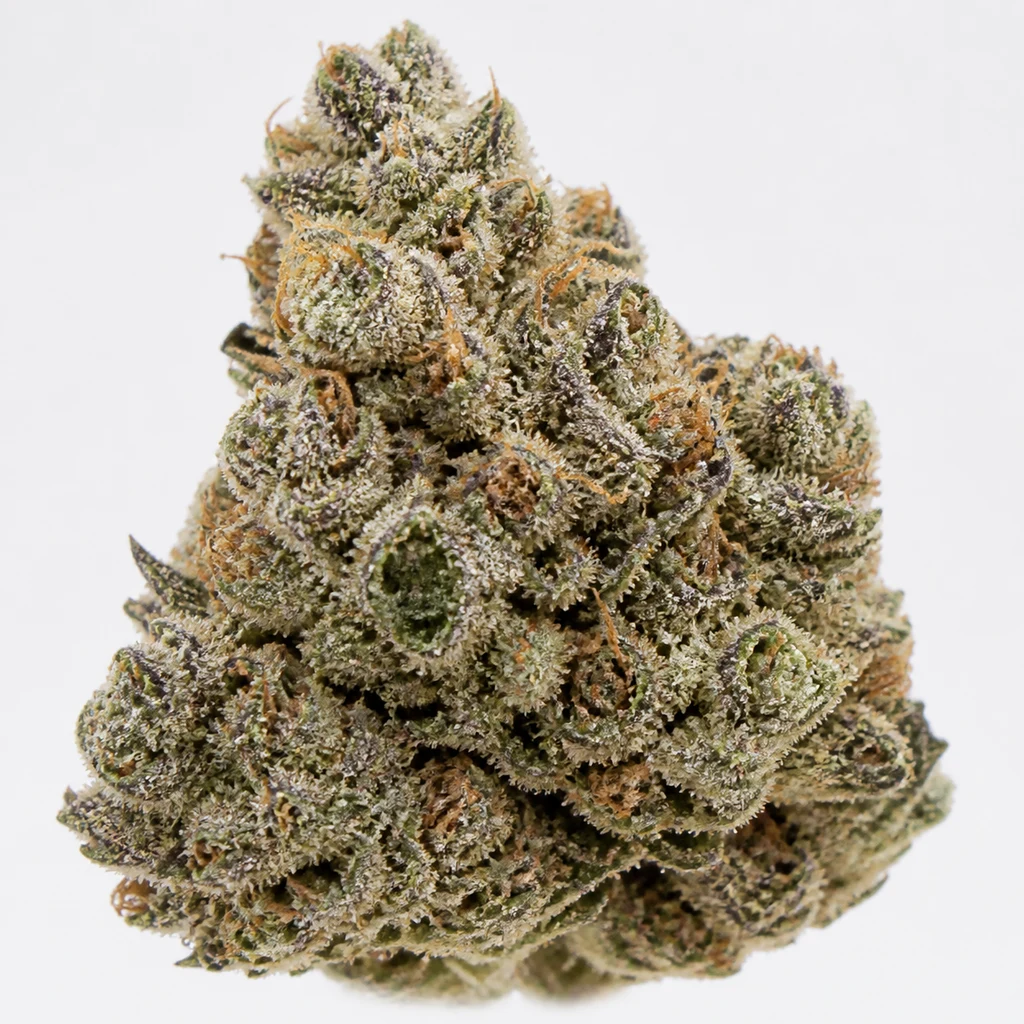 Ilustración de un cogollo para la ficha de Guava x Gelato 41 Auto, de contorno ancho, tonos verdes y morados y abundante cobertura blanquecina.