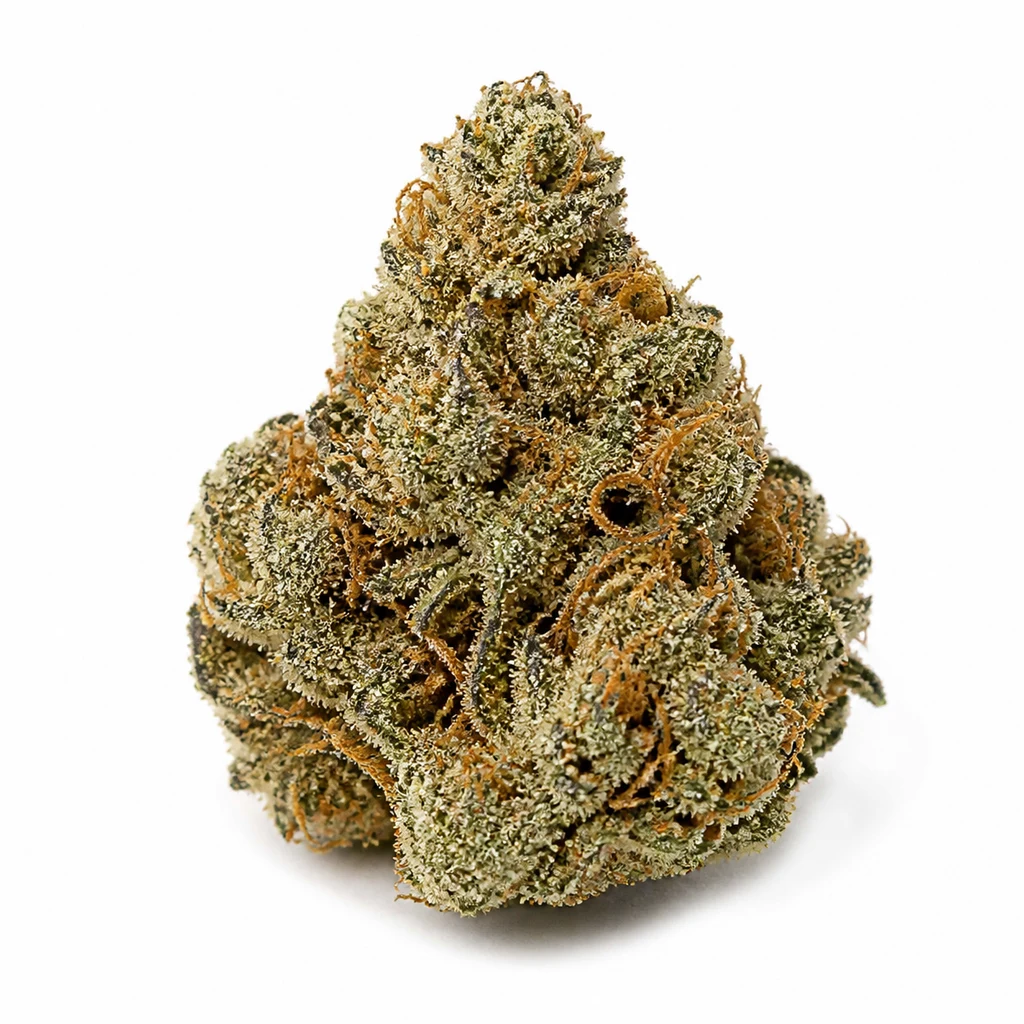 Ilustración de un cogollo cónico verde con pistilos anaranjados y tricomas claros para la ficha de West Coast OG x Gelato Auto 41.