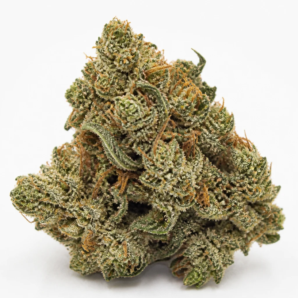 Ilustración de un cogollo verde de contorno irregular, con tricomas claros y pistilos anaranjados, para la ficha de Titan F1 Auto de Royal Queen Seeds.