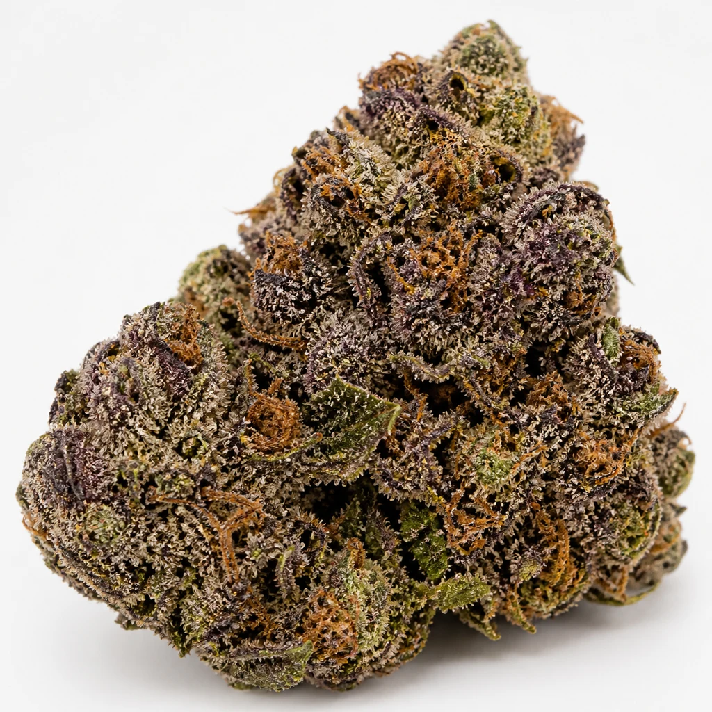 Ilustración de un cogollo de tonos morados y verdes con filamentos anaranjados para la ficha de Grand Daddy Purple Feminizada de 00 Seeds.