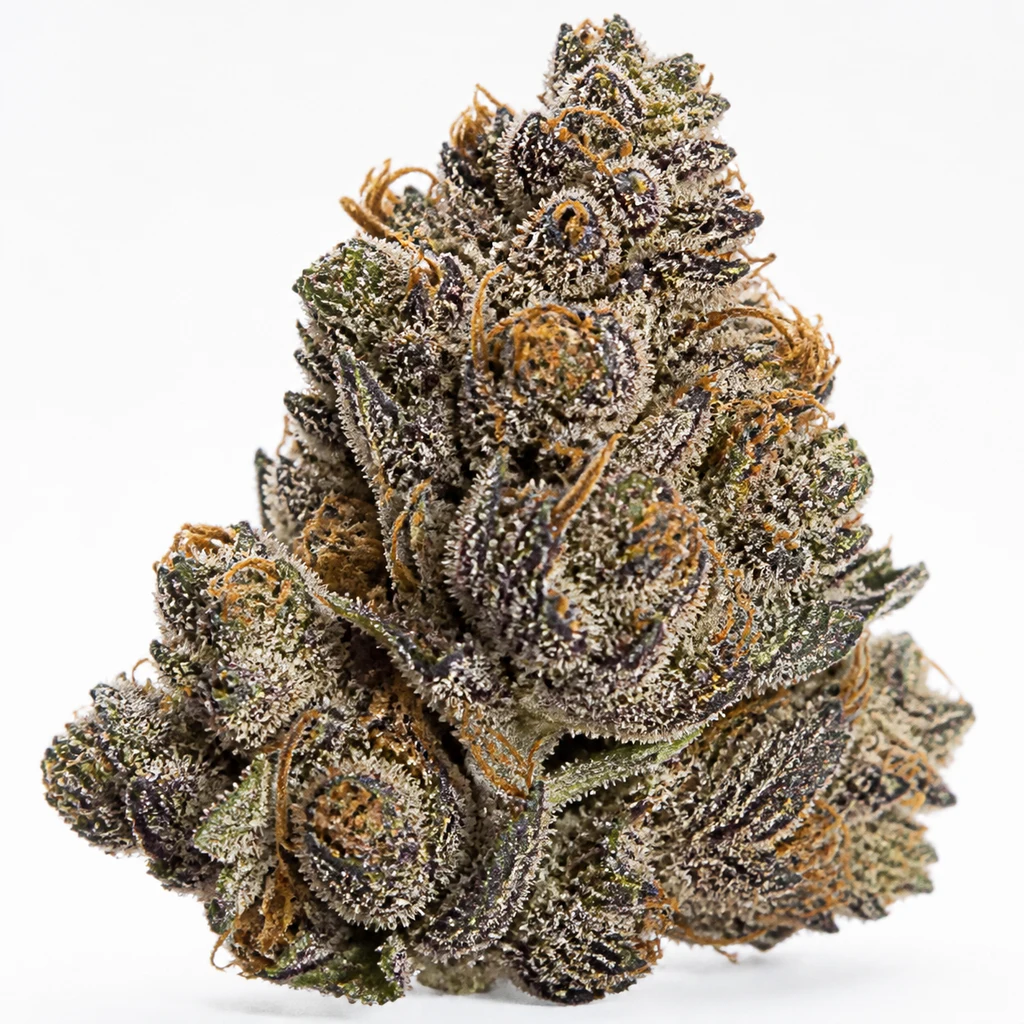Ilustración de un cogollo morado y verde con abundantes puntos blanquecinos para la ficha de Cherry Fritter – Cookies Seed Bank.