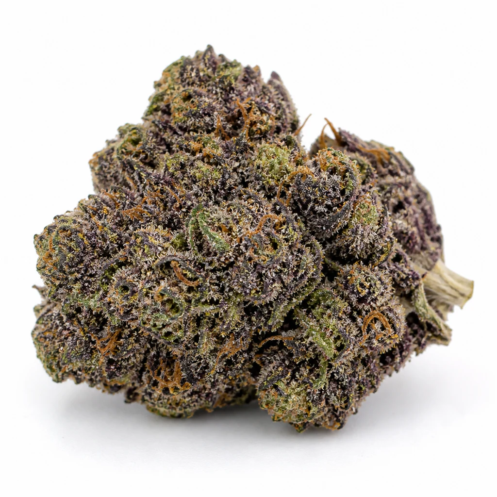 Ilustración de un cogollo morado y verde para la ficha de Tropicana Cookies Purple Feminizada, con filamentos anaranjados sobre fondo blanco.
