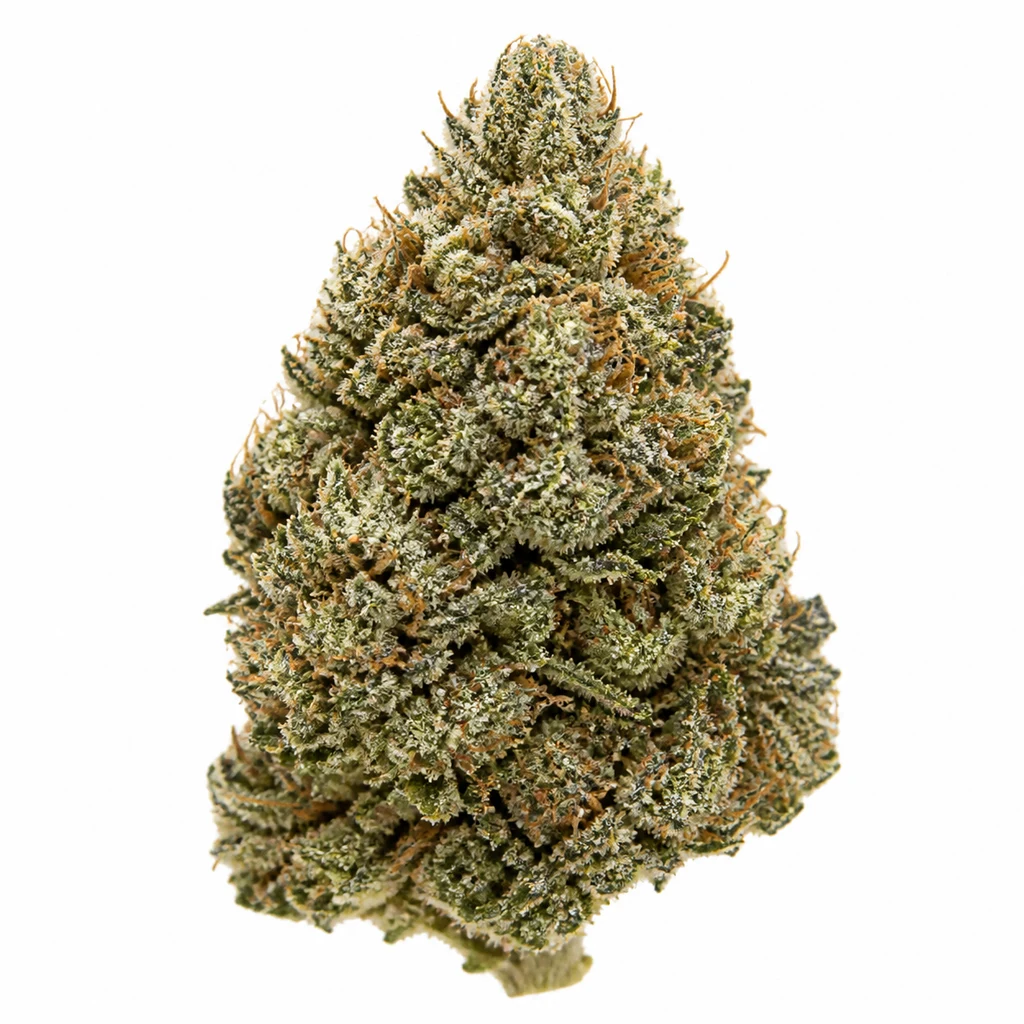 Ilustración de un cogollo cónico compacto, verde y con abundantes puntos blanquecinos, para la ficha de Blue Dream Auto.