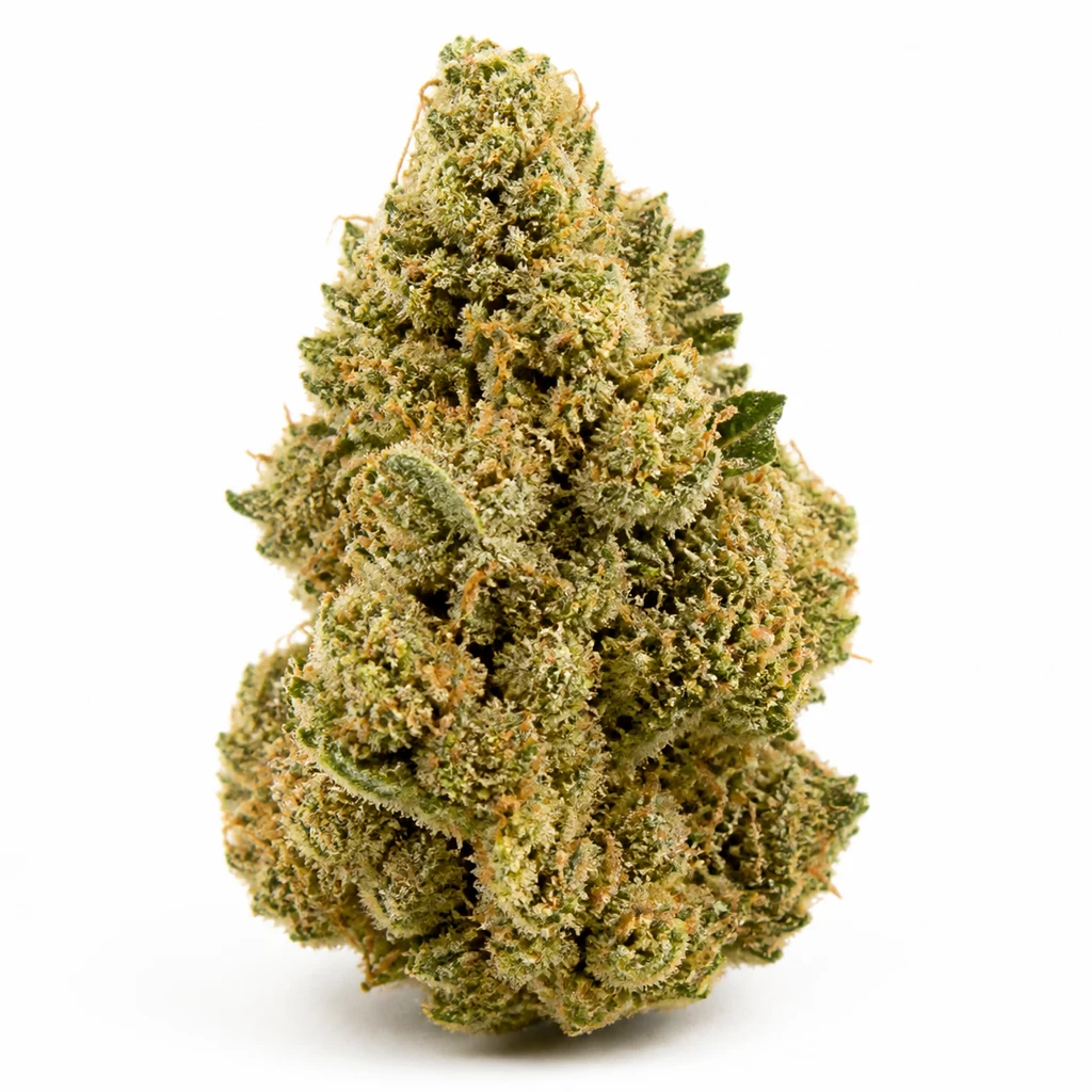 Ilustración de un cogollo verde con filamentos anaranjados y superficie de aspecto escarchado para la ficha de Amnesia Haze Auto de Spain Seeds.