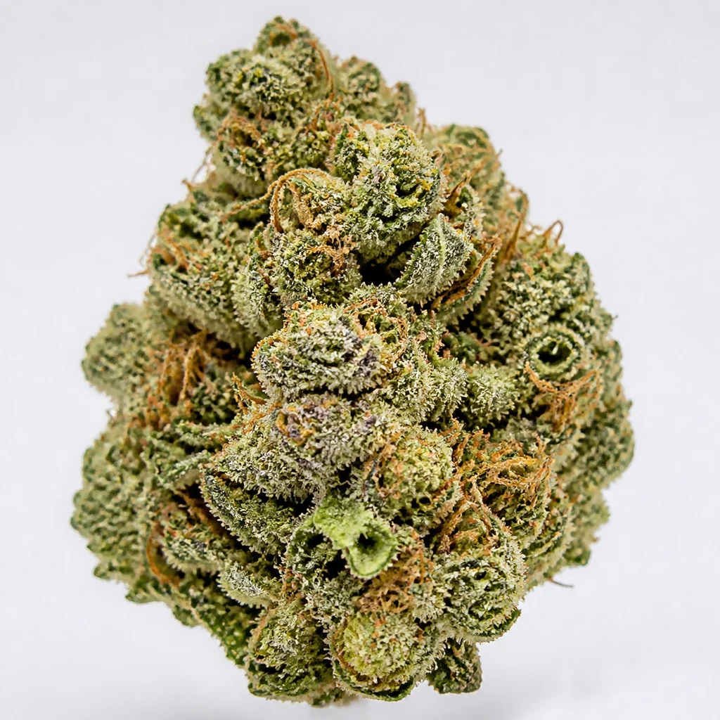 Ilustración de un cogollo verde con pistilos anaranjados y tricomas claros para la ficha de Bruce Banner Feminizada de Barney's Farm.