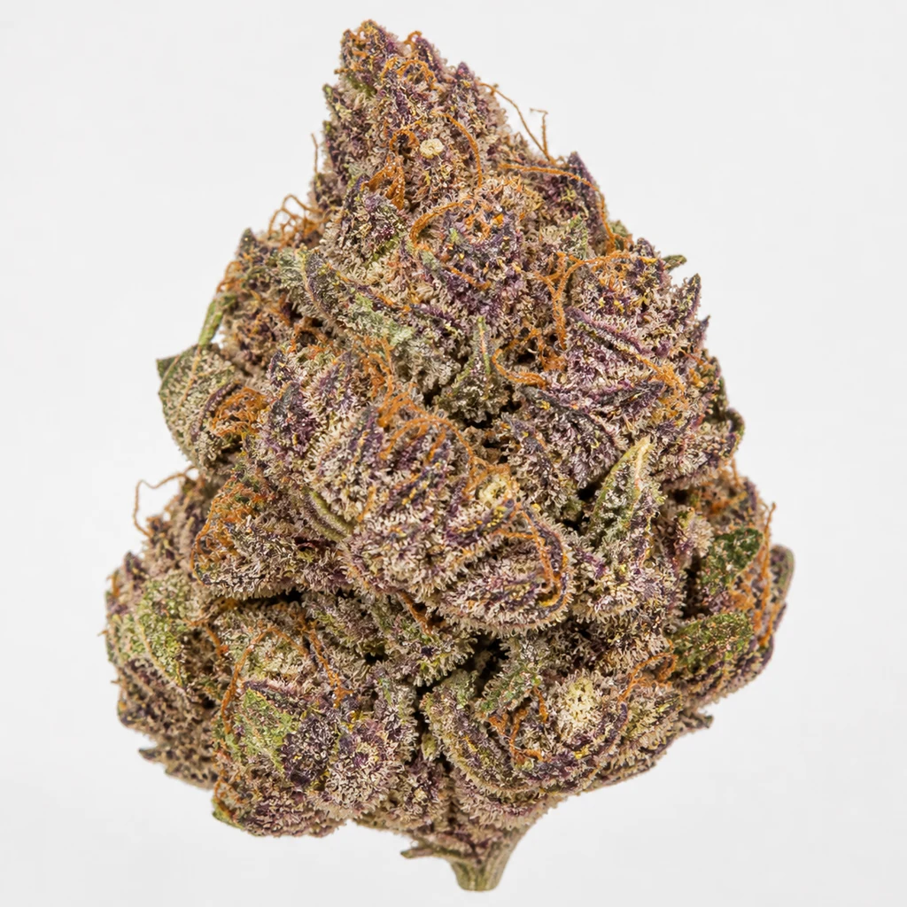 Ilustración de un cogollo morado y verde con filamentos anaranjados para la ficha de Lemon Cherry Cookies Auto™ de Fast Buds.