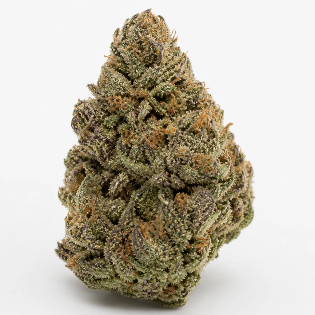 Ilustración de un cogollo alargado verde con zonas moradas y filamentos naranjas para la ficha de Cheese Cookies de Mamiko Seeds.