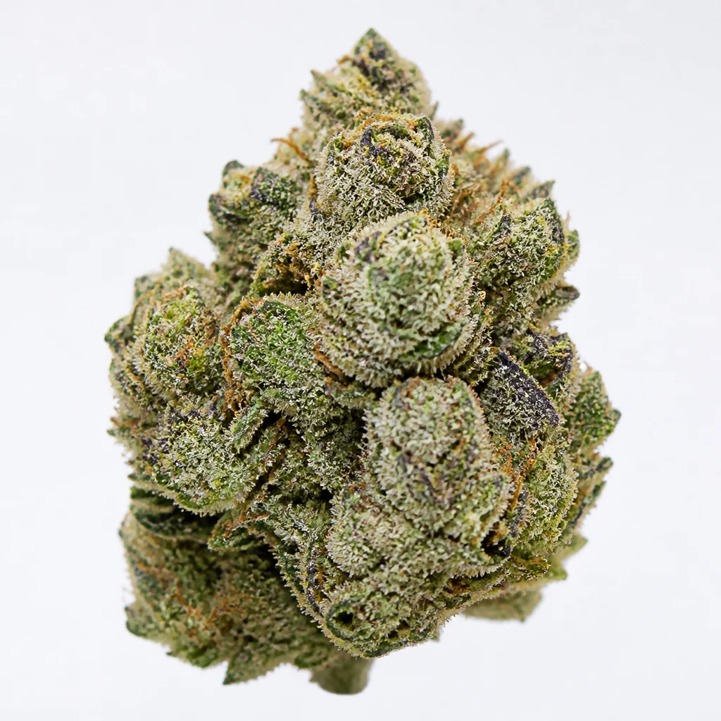 Ilustración de un cogollo verde con zonas violetas y tricomas blanquecinos para la ficha de Blue Cookies x OG Kush Feminizada, sobre fondo blanco.