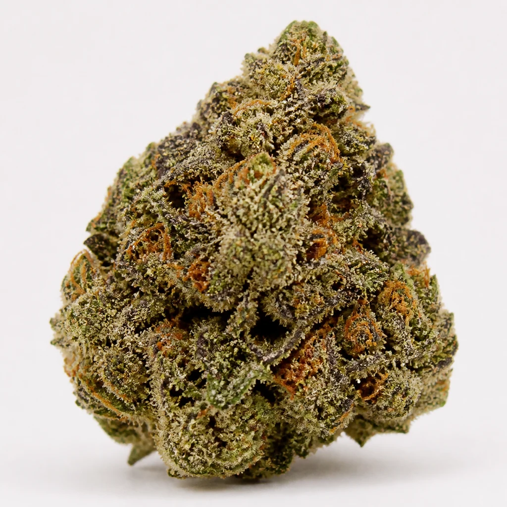 Ilustración de un cogollo con tonos verdes y oscuros y pistilos naranjas para la ficha de Black Domina x Zkittlez Regular.