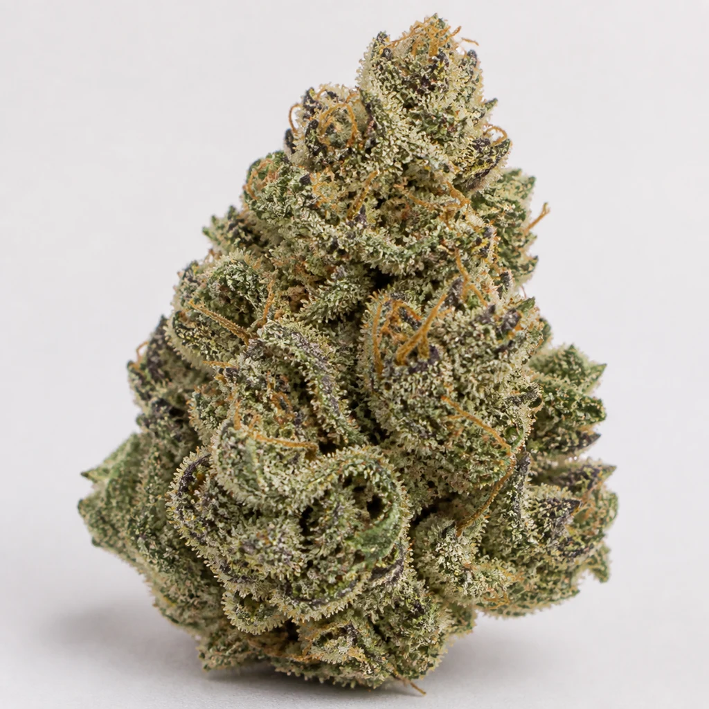 Ilustración de un cogollo verde con zonas moradas y filamentos anaranjados para la ficha de Tropicana Cookies x Zkittlez Regular.