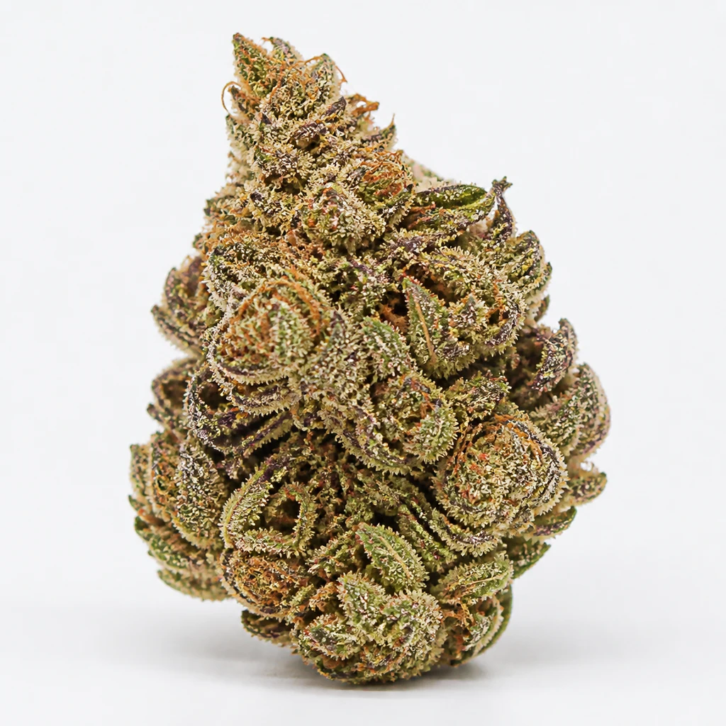 Ilustración de un cogollo verde y morado con filamentos anaranjados para la ficha de Grape Sweets Auto – Grand Cru Genetics.
