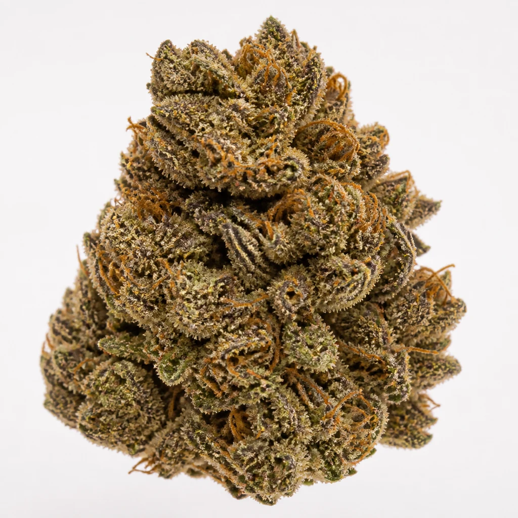 Ilustración de un cogollo de tonos verdes y morados con pistilos naranjas para la ficha de Trop Cherry Hash Regular.