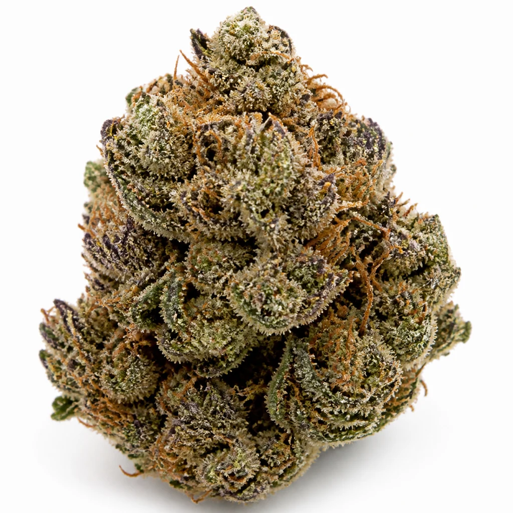 Ilustración de un cogollo con tonos verdes y morados y filamentos naranjas para la ficha de Pink Sherb Feminizada de Karma Genetics.