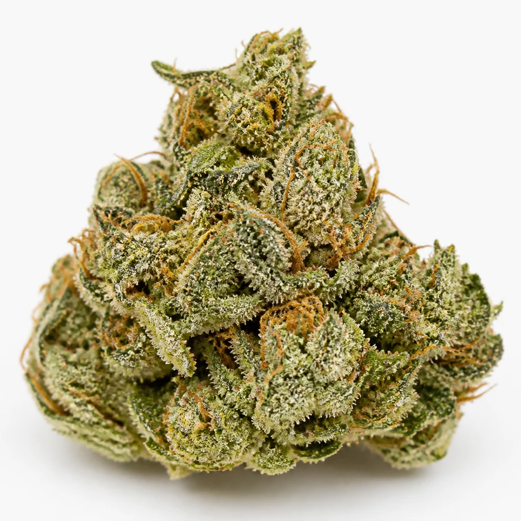 Ilustración de un cogollo verde con filamentos anaranjados y abundantes puntos blanquecinos para la ficha de Dreamtime Regular de Mr. Nice Seeds.