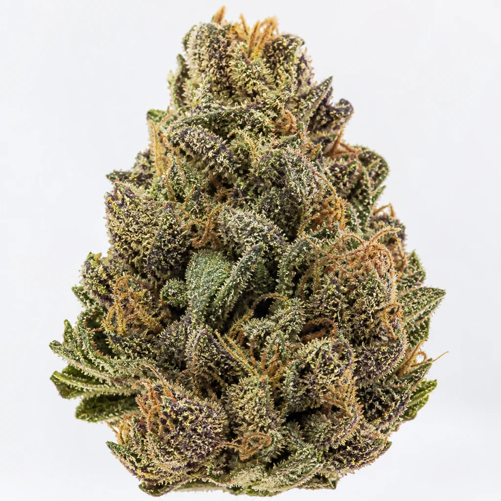 Ilustración de un cogollo alargado verde y morado con pelos anaranjados para la ficha de Savage Cherries Feminizada de Perfect Tree Seeds.