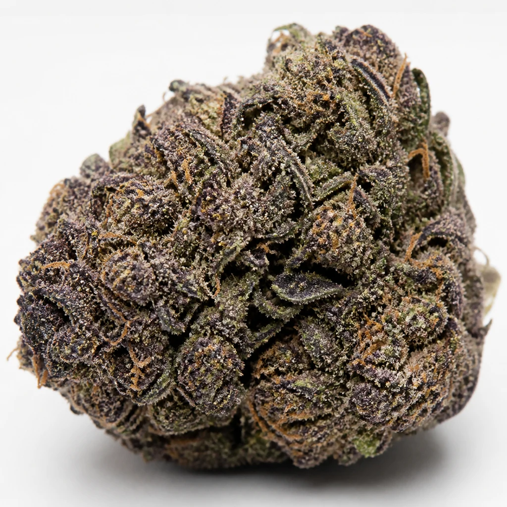 Ilustración de un cogollo para la ficha de Purple Urkle x Blue Pyramid Feminizada, con tonos morados oscuros y tricomas sobre fondo blanco.
