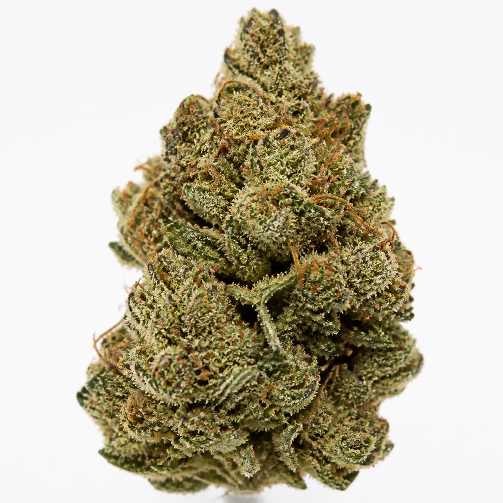 Ilustración de un cogollo verde con filamentos anaranjados y superficie de aspecto cristalino, sobre fondo blanco, para la ficha de Big Bud Autofloreciente de Nirvana Seeds.