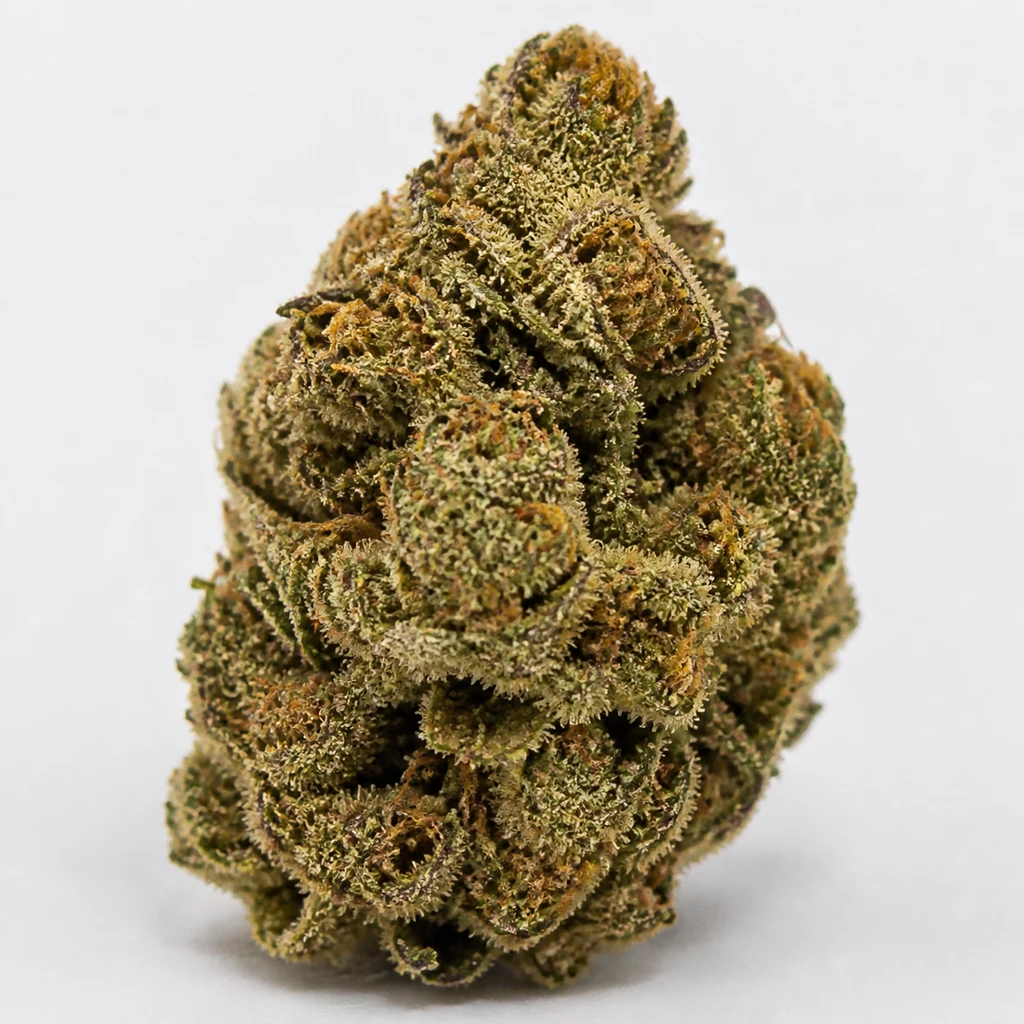 Ilustración de un cogollo compacto con tonos verdes y pistilos anaranjados para la ficha de Auto OG Kush de Nirvana Seeds.