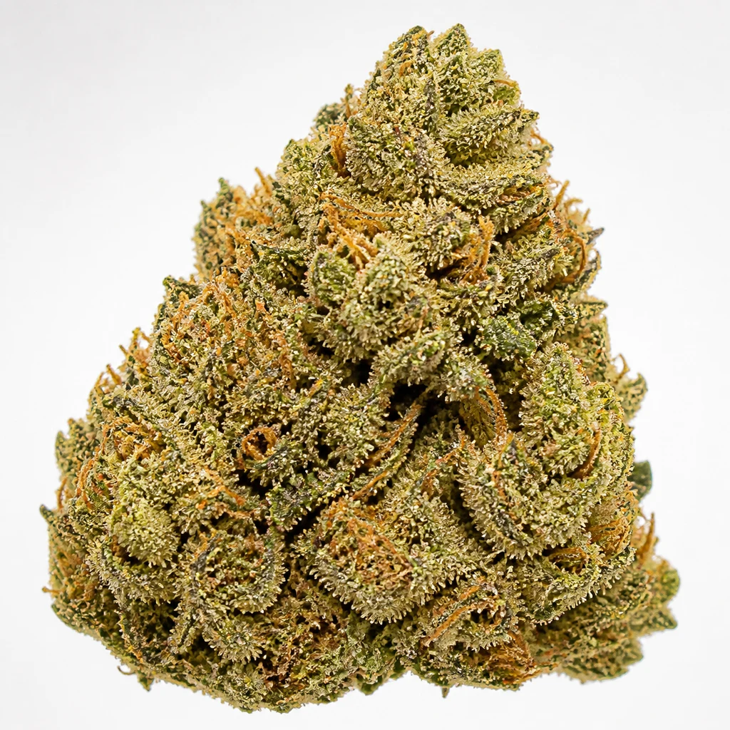 Ilustración de un cogollo cónico con filamentos anaranjados para la ficha de Sour Diesel Feminizada de Seed Stockers.