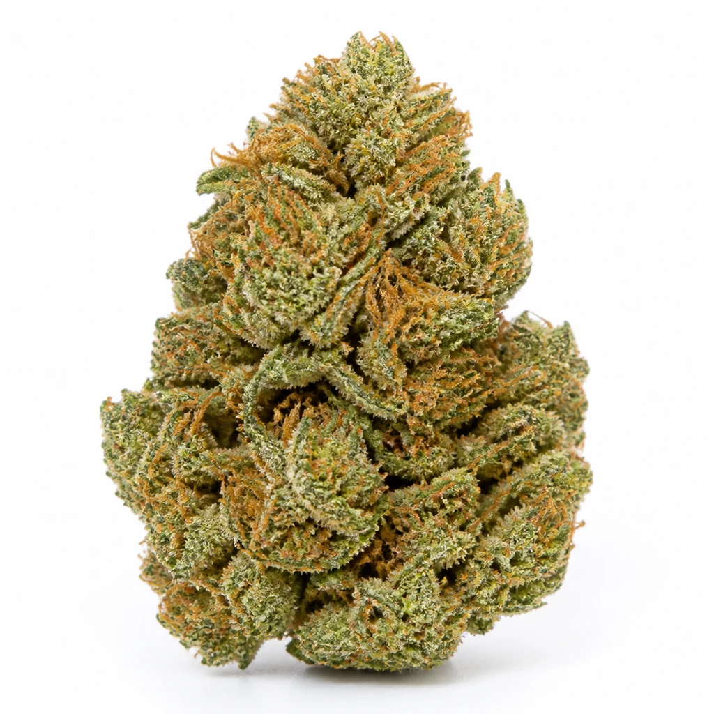 Ilustración de un cogollo de contorno cónico, verde y con pistilos naranjas, para la ficha de Royal AK Feminizada – Royal Queen Seeds.
