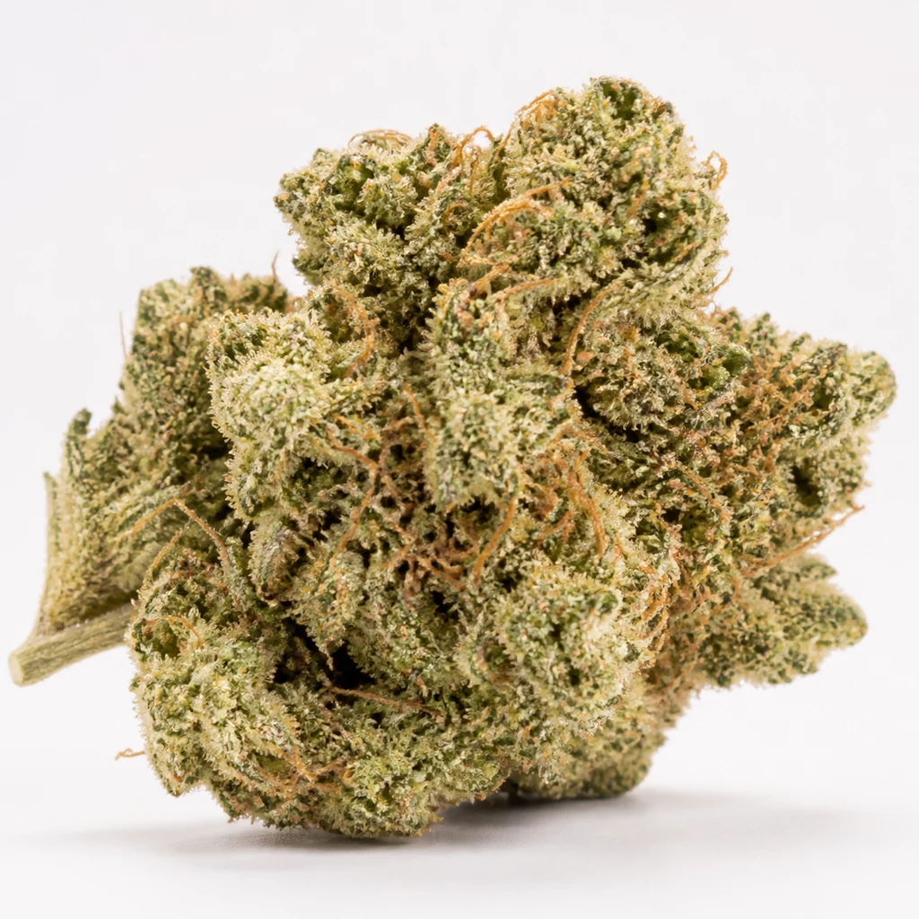 Ilustración de un cogollo redondeado verde con filamentos naranjas sobre fondo blanco, para la ficha de Californian Snow Auto de Fast Buds.