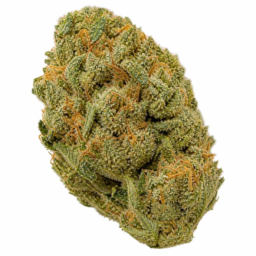 Ilustración de un cogollo verde con filamentos anaranjados y tricomas claros para la ficha de Amnesi-K Lemon de Kannabia Seeds.