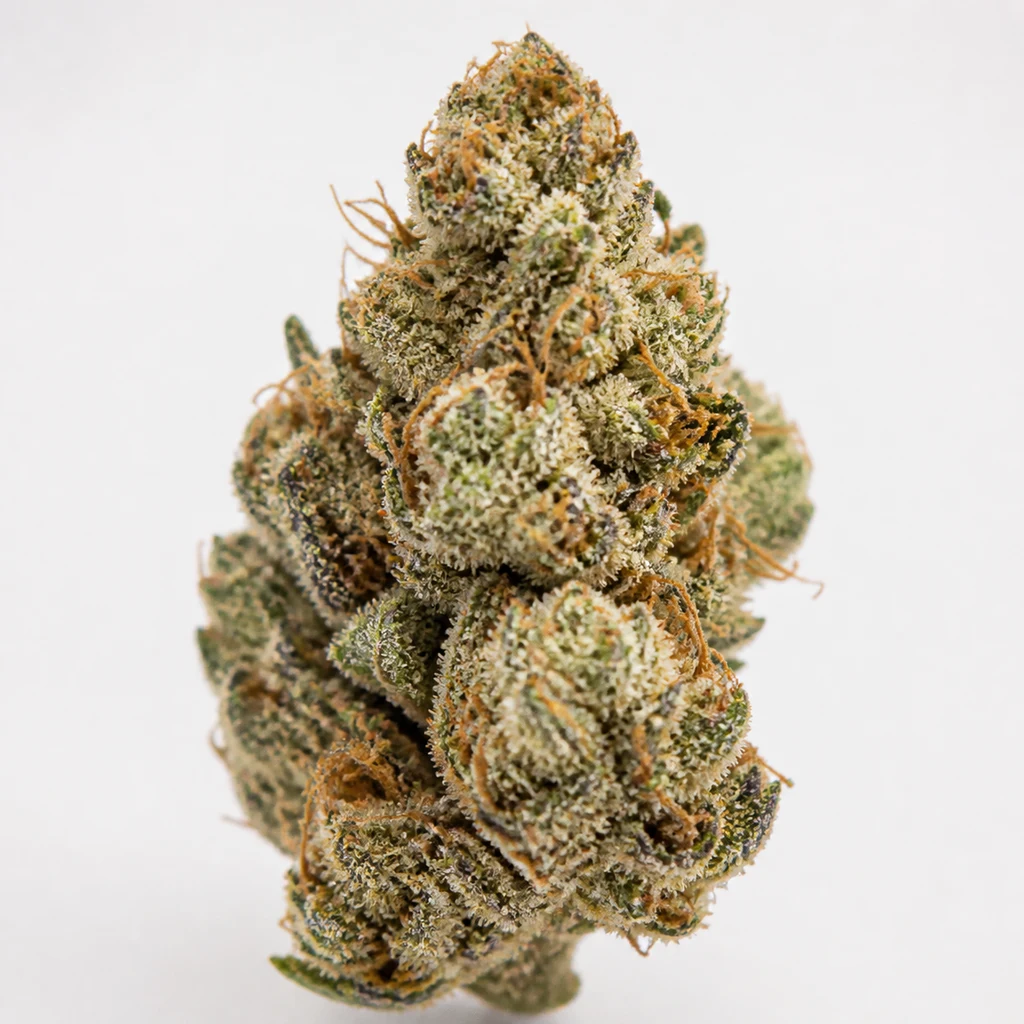 Ilustración de un cogollo con tonos verdes, matices morados y filamentos anaranjados para la ficha de Fruit Punch Auto de Heavyweight Seeds.