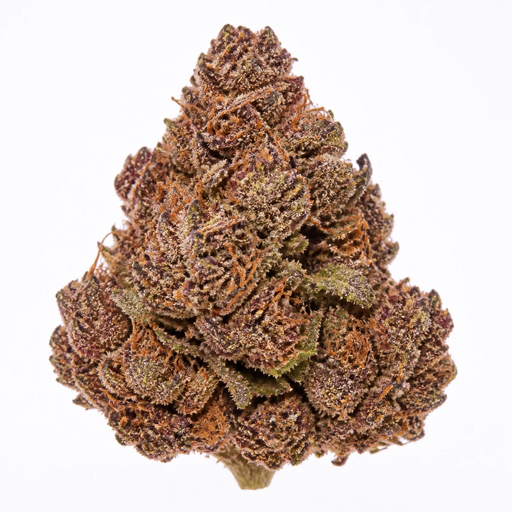 Ilustración de un cogollo cónico morado y verde, con pistilos anaranjados, para la ficha de Red Mandarine F1 Fast Version Feminizada de Sweet Seeds.