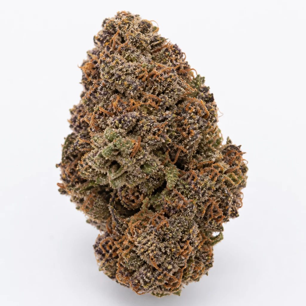 Ilustración de un cogollo compacto con tonos verdes y morados, filamentos anaranjados y puntos claros para la ficha de Purple Punch Auto.