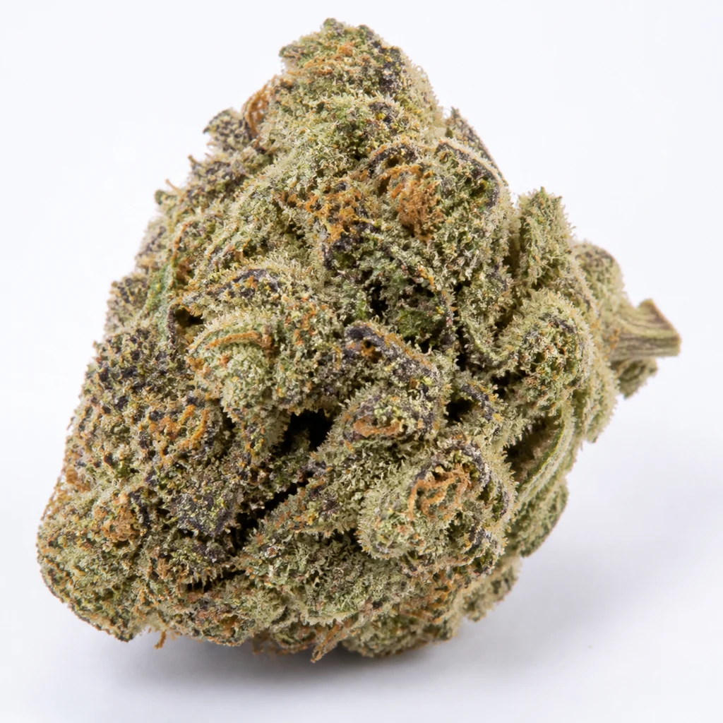 Ilustración de un cogollo verde con tonos morados, filamentos naranjas y recubrimiento claro para la ficha de ZkittleZ Glue de Expert Seeds.