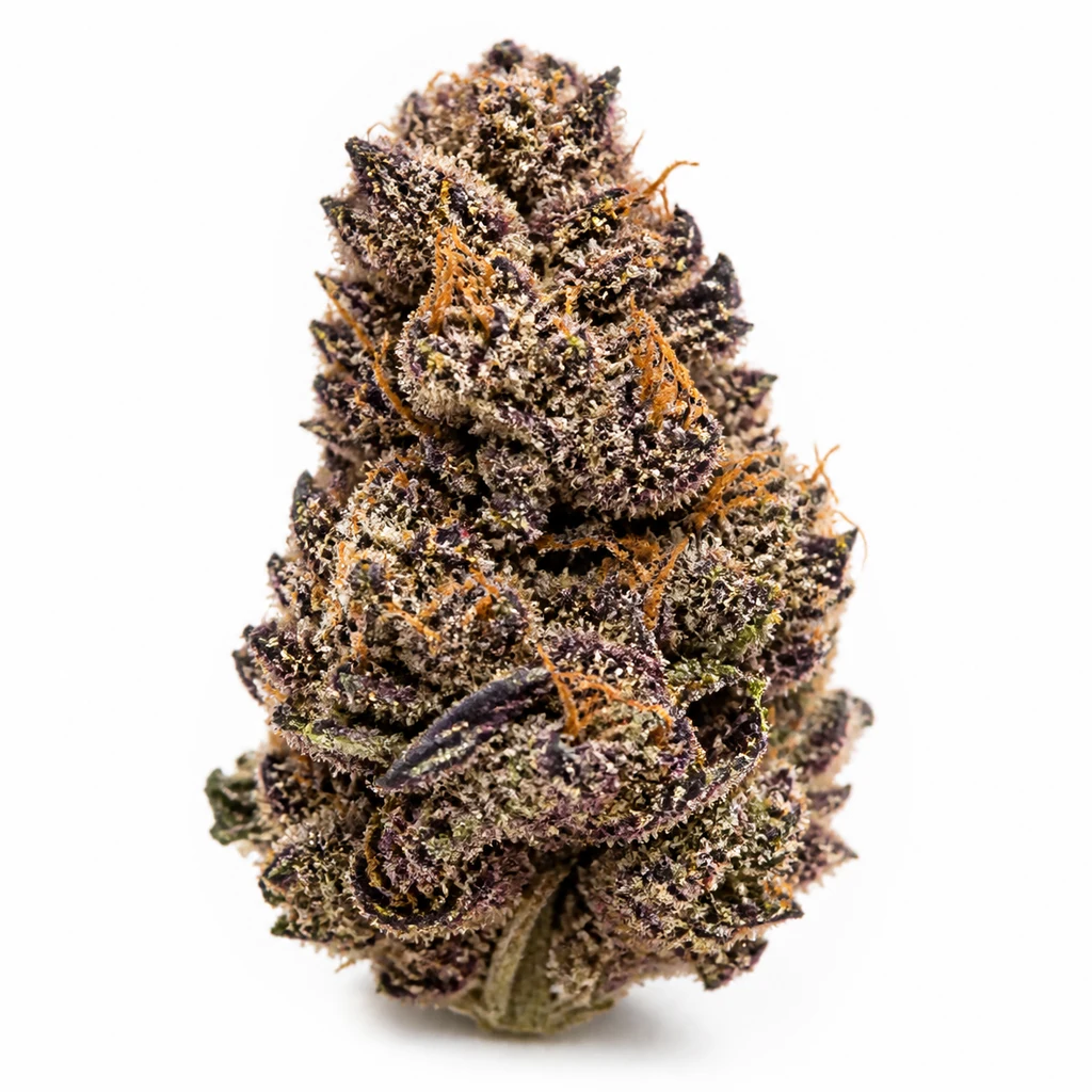 Ilustración de un cogollo morado con filamentos anaranjados y cobertura blanquecina para la ficha de CBD Auto Blackberry Kush de Dutch Passion.