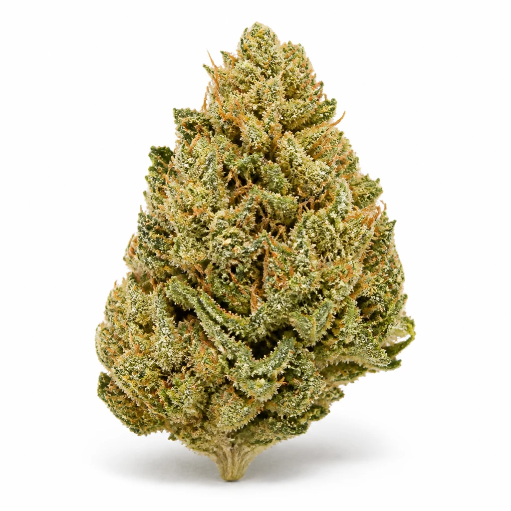 Ilustración de un cogollo verde de forma cónica, con filamentos anaranjados, para la ficha de White Gorilla Haze Feminizada.