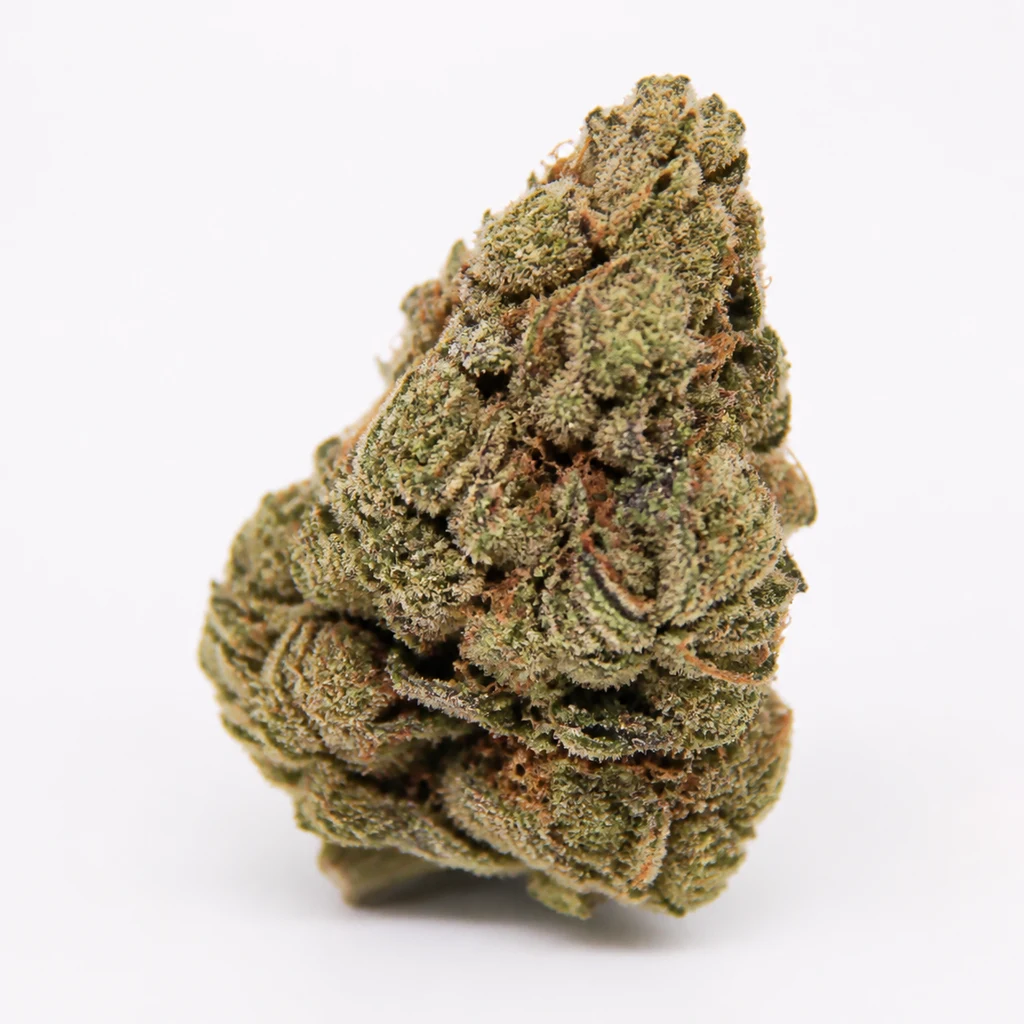 Ilustración de un cogollo compacto con tonos verdes y pelos anaranjados para la ficha de Nicole Hindu Kush Feminizada de White Label.