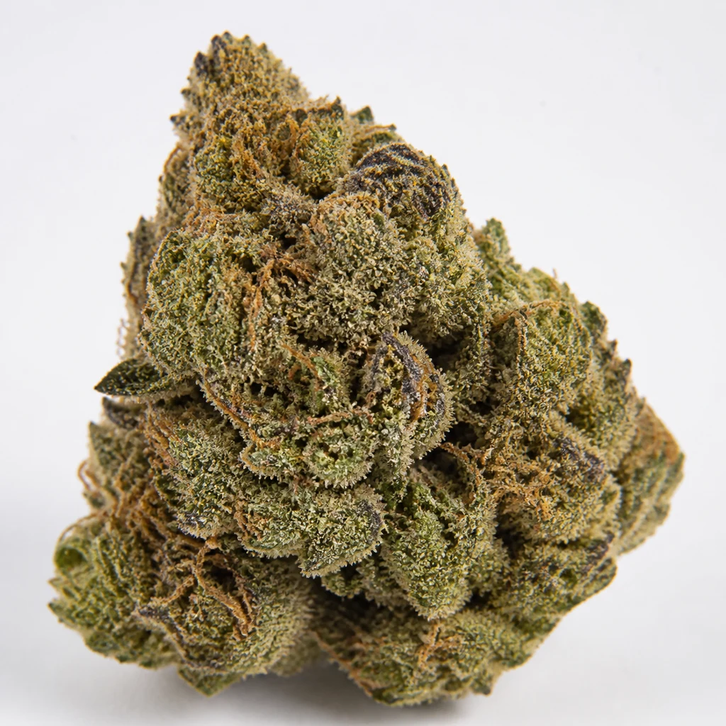 Ilustración de un cogollo verde con zonas moradas y filamentos anaranjados para la ficha de Gelato #420 Feminizada de White Label.