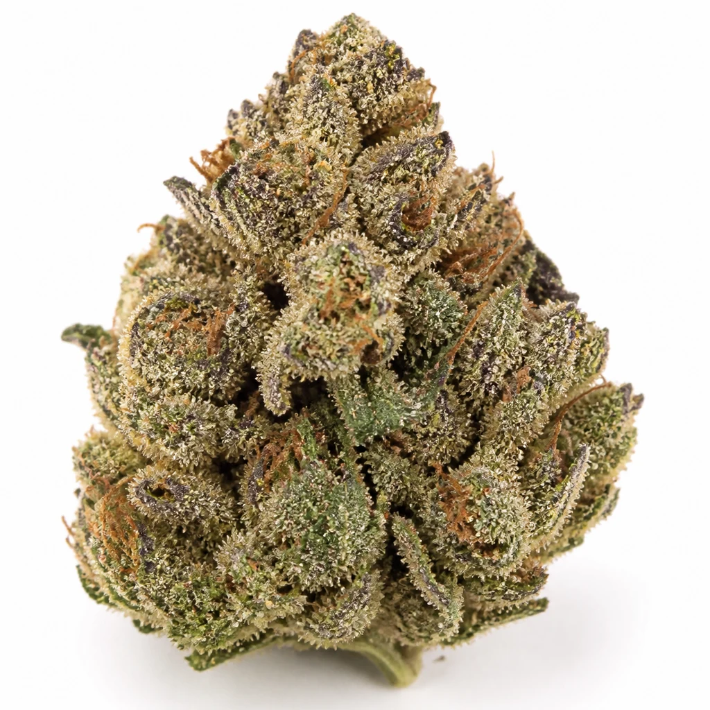 Ilustración de un cogollo verde con tonos morados y filamentos anaranjados para la ficha de Strawberry Pie Auto de Fast Buds.