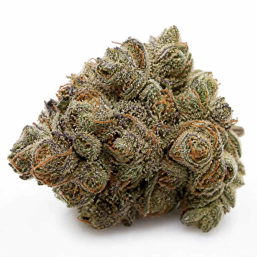 Ilustración de un cogollo de contorno irregular, verde y morado con pistilos naranjas, para la ficha de Purple Cherry de Positronics Seeds.